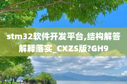 stm32软件开发平台,结构解答解释落实_CXZS版?GH9