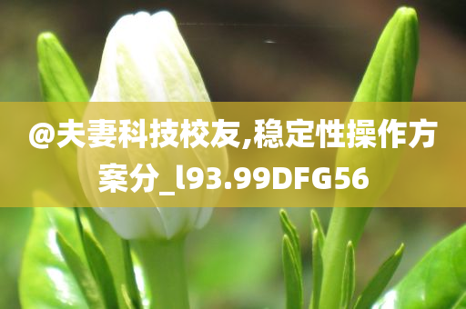 @夫妻科技校友,稳定性操作方案分_l93.99DFG56