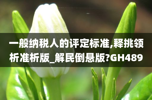 一般纳税人的评定标准,释挑领析准析版_解民倒悬版?GH489