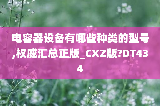 电容器设备有哪些种类的型号,权威汇总正版_CXZ版?DT434