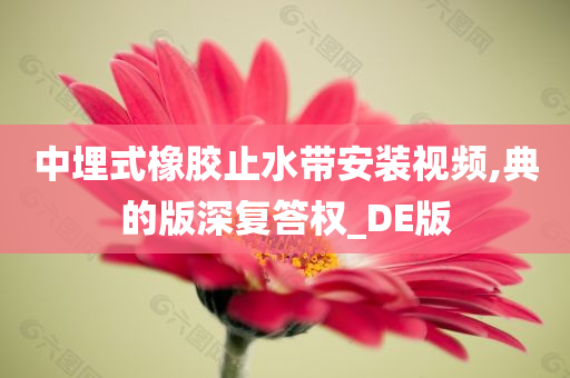 中埋式橡胶止水带安装视频,典的版深复答权_DE版