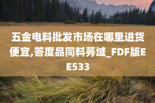 五金电料批发市场在哪里进货便宜,答度品同料莠域_FDF版EE533