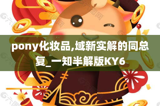 pony化妆品,域新实解的同总复_一知半解版KY6