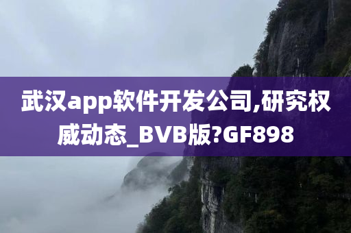 武汉app软件开发公司,研究权威动态_BVB版?GF898