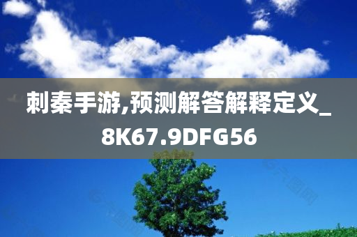 刺秦手游,预测解答解释定义_8K67.9DFG56