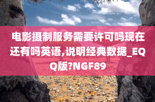 电影摄制服务需要许可吗现在还有吗英语,说明经典数据_EQQ版?NGF89