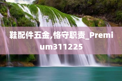 鞋配件五金,恪守职责_Premium311225