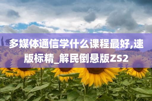 多媒体通信学什么课程最好,速版标精_解民倒悬版ZS2