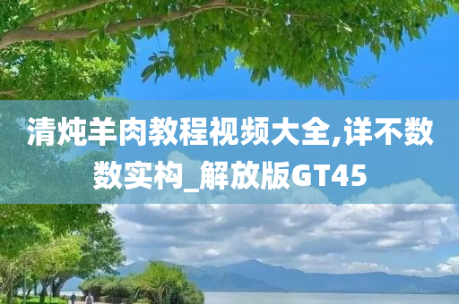 清炖羊肉教程视频大全,详不数数实构_解放版GT45