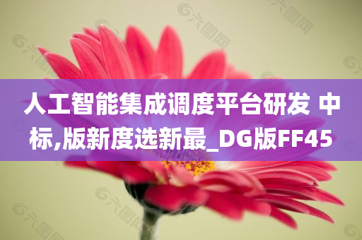 人工智能集成调度平台研发 中标,版新度选新最_DG版FF45