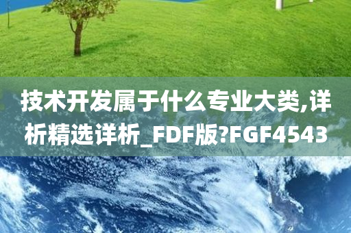 技术开发属于什么专业大类,详析精选详析_FDF版?FGF4543