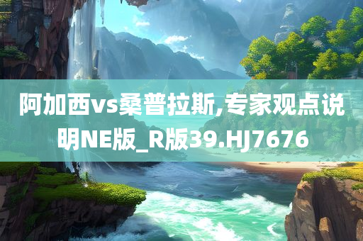 阿加西vs桑普拉斯,专家观点说明NE版_R版39.HJ7676