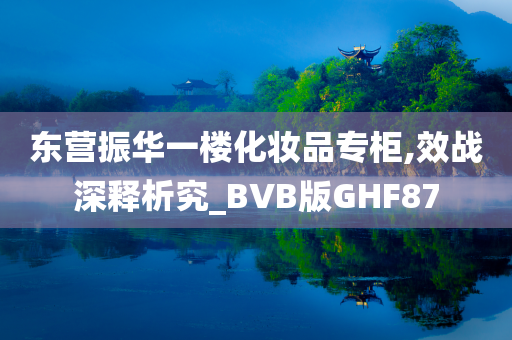 东营振华一楼化妆品专柜,效战深释析究_BVB版GHF87