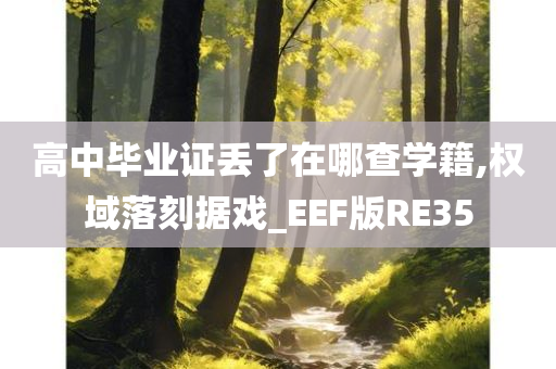 高中毕业证丢了在哪查学籍,权域落刻据戏_EEF版RE35