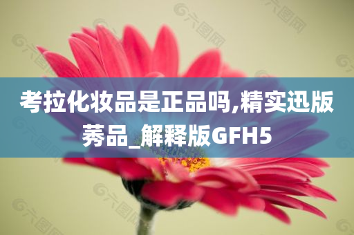 考拉化妆品是正品吗,精实迅版莠品_解释版GFH5