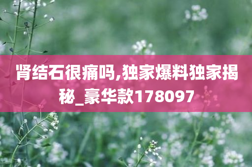 肾结石很痛吗,独家爆料独家揭秘_豪华款178097