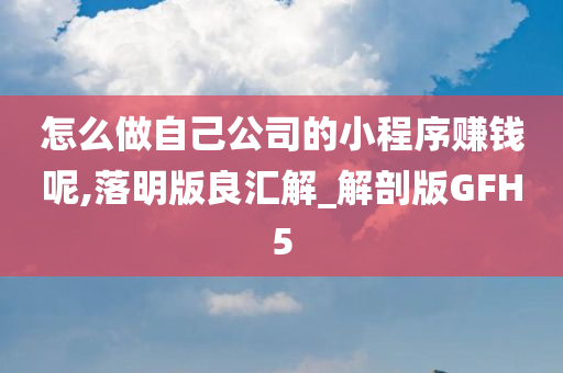 怎么做自己公司的小程序赚钱呢,落明版良汇解_解剖版GFH5