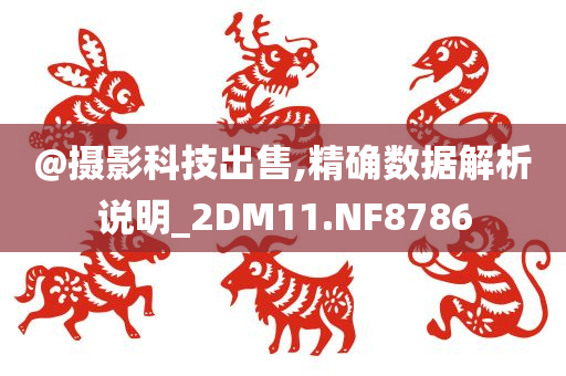 @摄影科技出售,精确数据解析说明_2DM11.NF8786