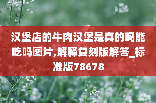 汉堡店的牛肉汉堡是真的吗能吃吗图片,解释复刻版解答_标准版78678