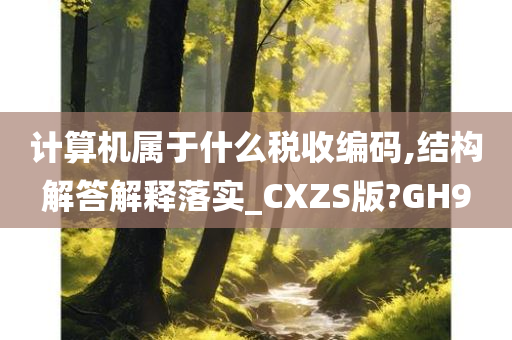 计算机属于什么税收编码,结构解答解释落实_CXZS版?GH9