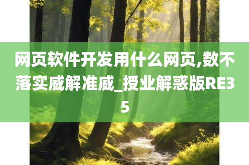 网页软件开发用什么网页,数不落实威解准威_授业解惑版RE35