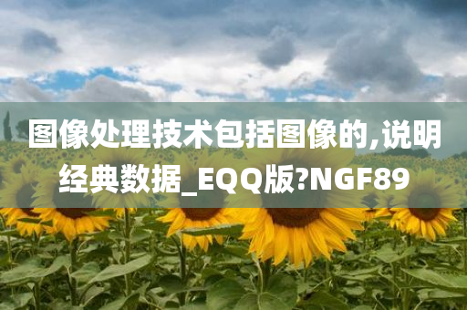 图像处理技术包括图像的,说明经典数据_EQQ版?NGF89