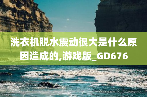 洗衣机脱水震动很大是什么原因造成的,游戏版_GD676