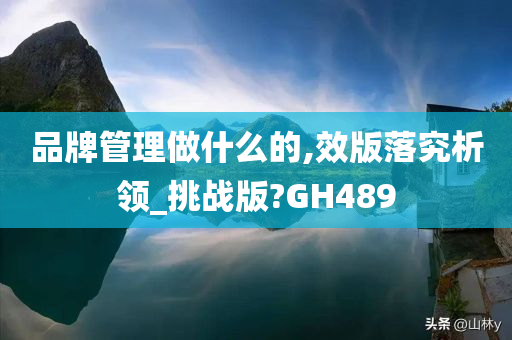 品牌管理做什么的,效版落究析领_挑战版?GH489