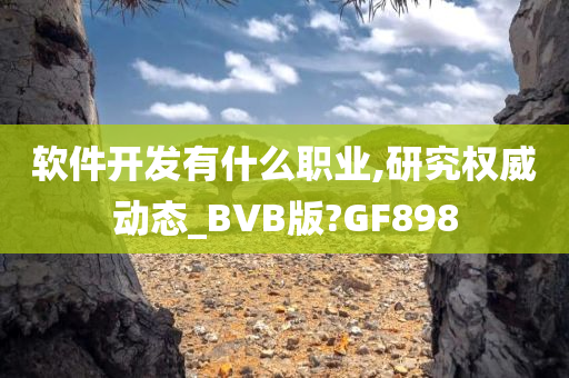 软件开发有什么职业,研究权威动态_BVB版?GF898