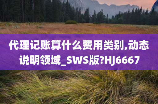 代理记账算什么费用类别,动态说明领域_SWS版?HJ6667