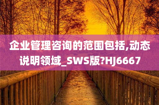 企业管理咨询的范围包括,动态说明领域_SWS版?HJ6667