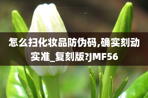 怎么扫化妆品防伪码,确实刻动实准_复刻版?JMF56