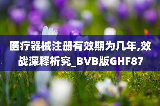 医疗器械注册有效期为几年,效战深释析究_BVB版GHF87