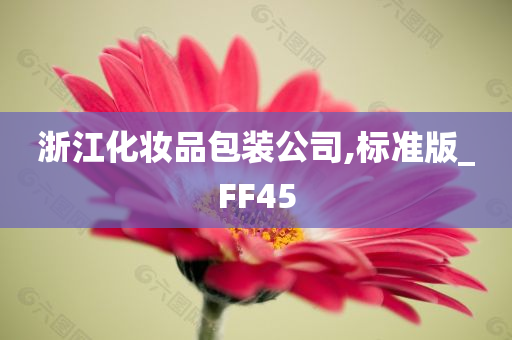 浙江化妆品包装公司,标准版_FF45