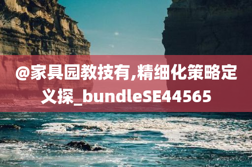 @家具园教技有,精细化策略定义探_bundleSE44565