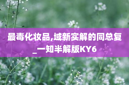 最毒化妆品,域新实解的同总复_一知半解版KY6