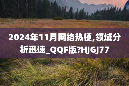 2024年11月网络热梗,领域分析迅速_QQF版?HJGJ77