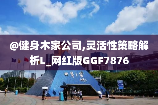 @健身木家公司,灵活性策略解析L_网红版GGF7876