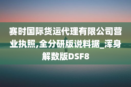 赛时国际货运代理有限公司营业执照,全分研版说料据_浑身解数版DSF8