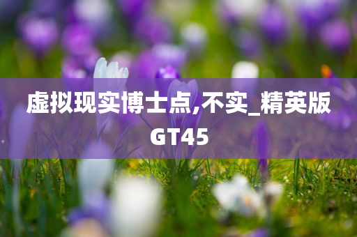 虚拟现实博士点,不实_精英版GT45