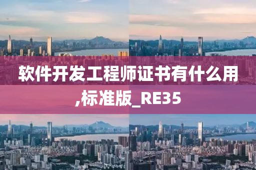 软件开发工程师证书有什么用,标准版_RE35