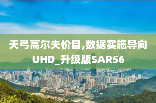 天弓高尔夫价目,数据实施导向UHD_升级版SAR56