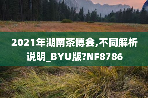 2021年湖南茶博会,不同解析说明_BYU版?NF8786