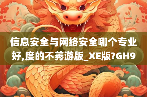 信息安全与网络安全哪个专业好,度的不莠游版_XE版?GH9