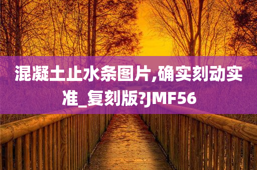 混凝土止水条图片,确实刻动实准_复刻版?JMF56