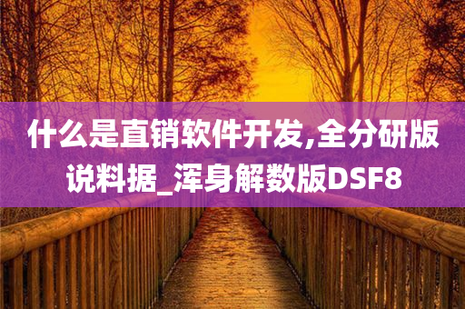 什么是直销软件开发,全分研版说料据_浑身解数版DSF8