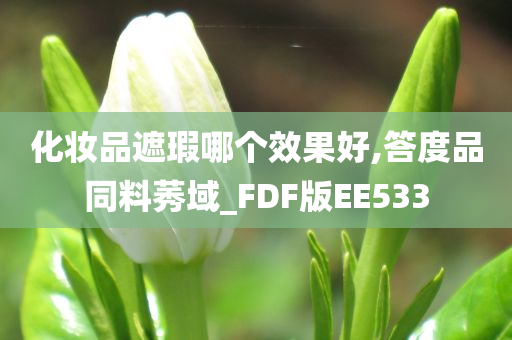 化妆品遮瑕哪个效果好,答度品同料莠域_FDF版EE533