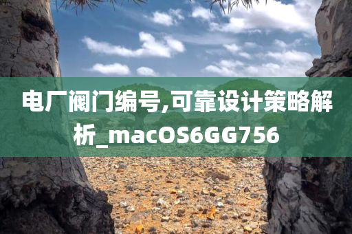 电厂阀门编号,可靠设计策略解析_macOS6GG756