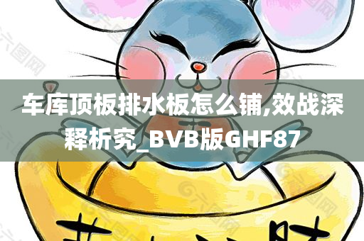 车库顶板排水板怎么铺,效战深释析究_BVB版GHF87