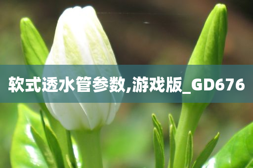 软式透水管参数,游戏版_GD676